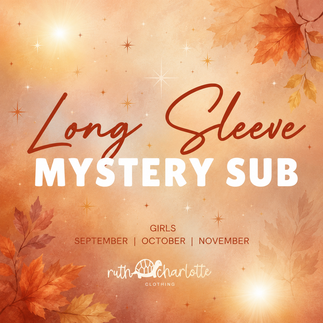 (2026 Long Sleeve Mystery Subscription) September, October, November